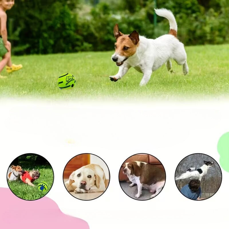 Automātiskā “Voice Ball” suņu rotaļbumba (bez baterijām)