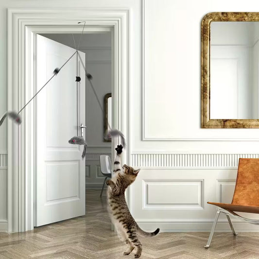 Piekarināmas interaktīvās rotaļlietas kaķiem (2 gab.)