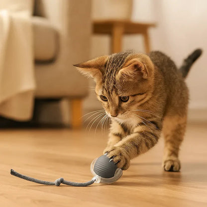 Kaķu rotaļlieta – lēkājoša bumbiņa ar virvi