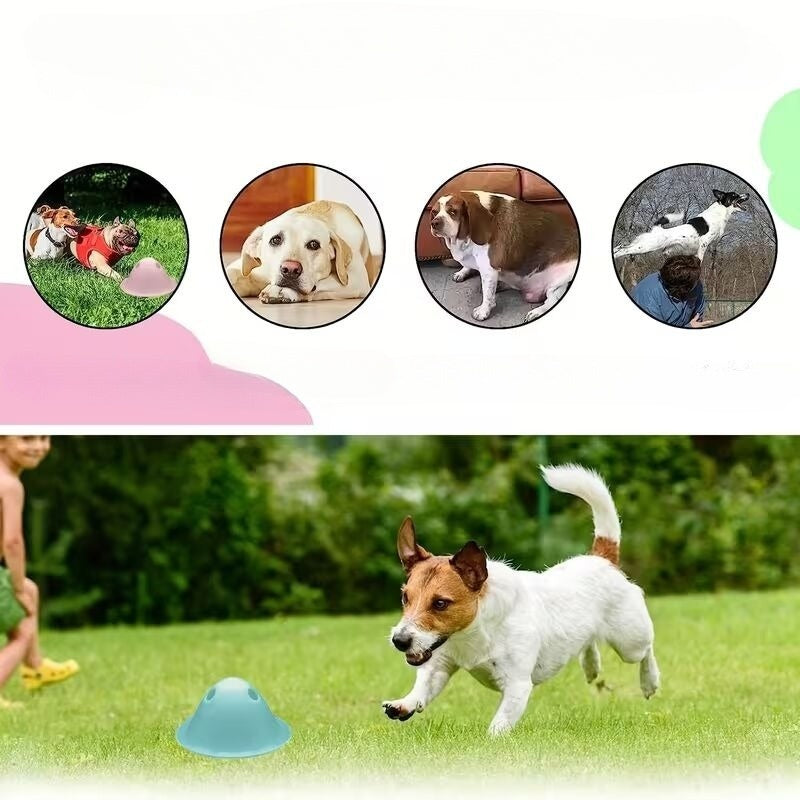 Interaktīvais košļājamais galvaslauzis suņiem ar paslēptu kārumu