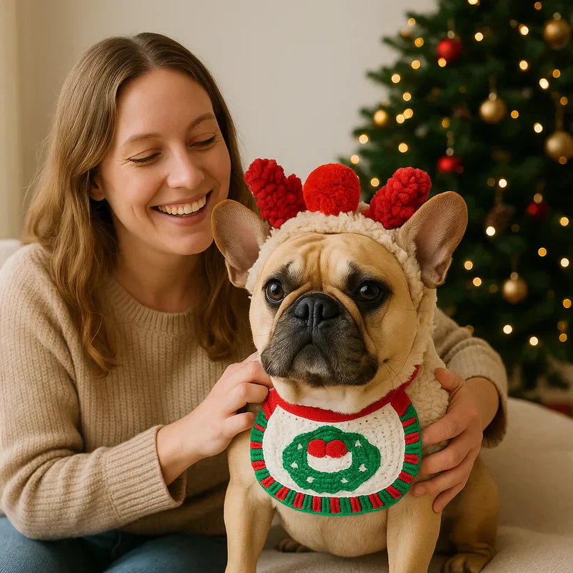 Ziemassvētku apģērbi suņiem