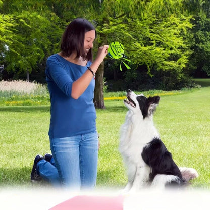 Automātiskā “Voice Ball” suņu rotaļbumba (bez baterijām)