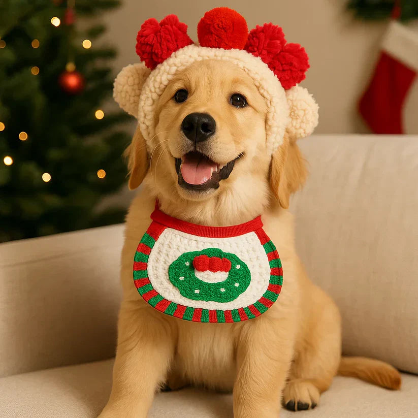 Ziemassvētku apģērbi suņiem