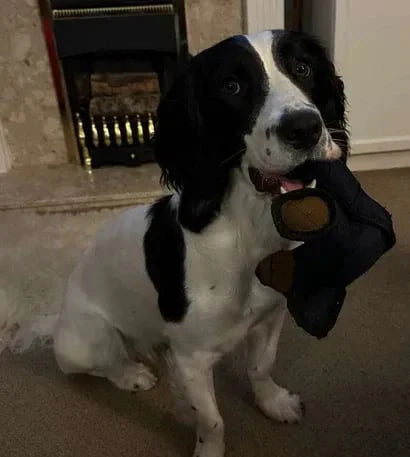 Īpaši izturīga suņu rotaļlieta – piemērota pat spēcīgākajiem košļātājiem