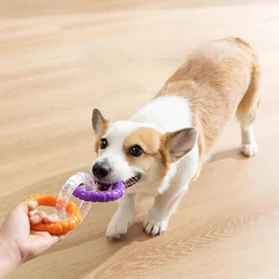 Izturīga vilkšanas rotaļlieta suņiem