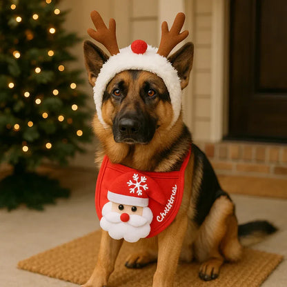 Ziemassvētku apģērbi suņiem