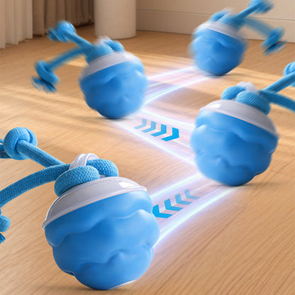 Interaktīvs nomierinošs rotaļu bumbiņš suņiem